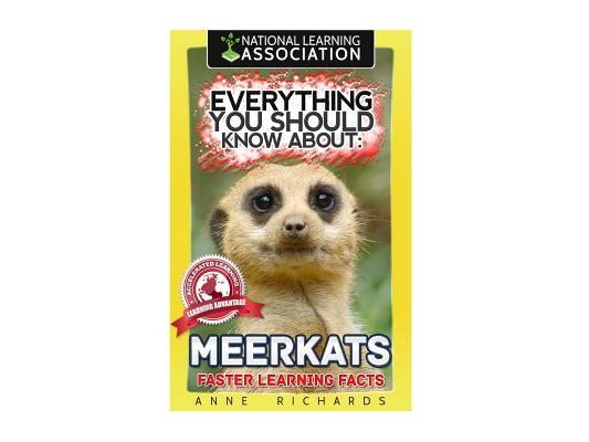 Everything You Should Know About: MEERKATS Faster Learning Facts