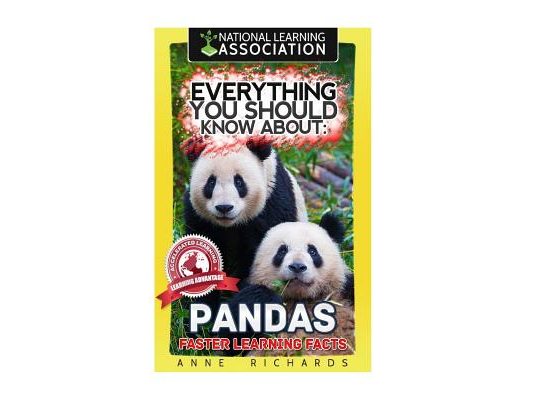 Everything You Should Know About: Pandas Faster Learning Facts