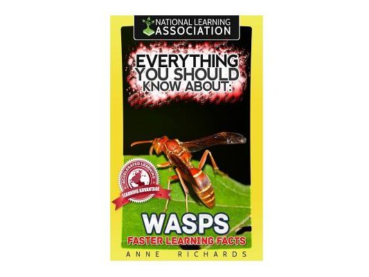 Everything You Should Know About: Wasps Faster Learning Facts