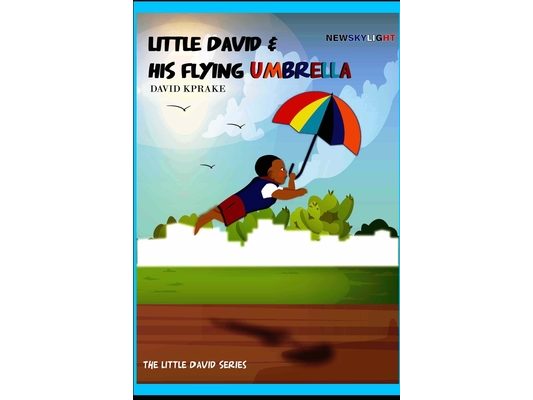 Newskylight: Little David & His Flying Umbrella