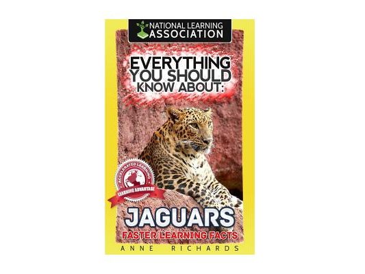 Everything You Should Know About: Jaguars Faster Learning Facts