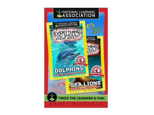 Everything You Should Know About: Dolphins and Sea Lions