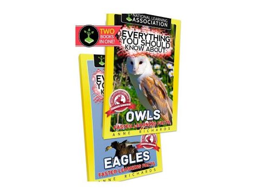 Everything You Should Know About: Owls and Eagles