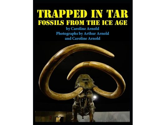 Trapped in Tar: Fossils from the Ice Age