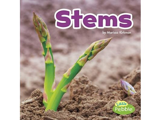 Stems