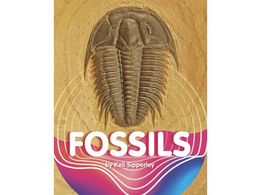 Fossils