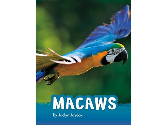Macaws