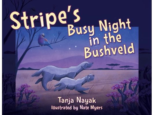 Stripe's Busy Night in the Bushveld