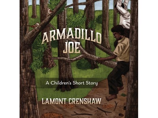 Armadillo Joe: A Children's Short Story
