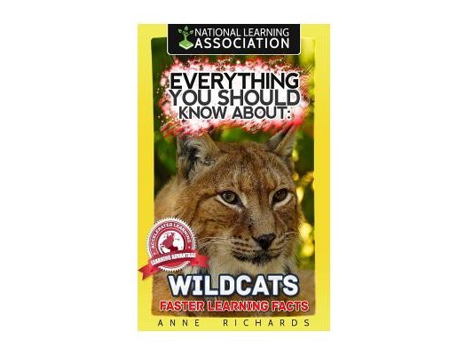 Everything You Should Know About: Wildcats