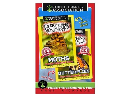 Everything You Should Know About: Moths and Butterflies