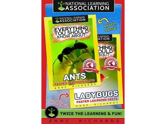 Everything You Should Know About: Ants and Ladybugs
