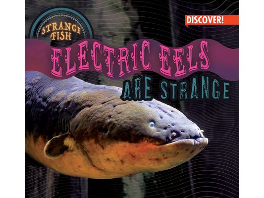 Electric Eels Are Strange