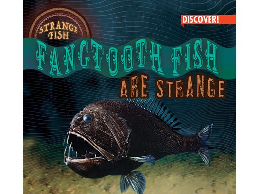 Fangtooth Fish Are Strange