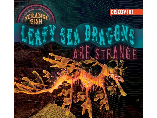 Leafy Sea Dragons Are Strange