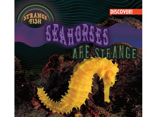 Seahorses Are Strange