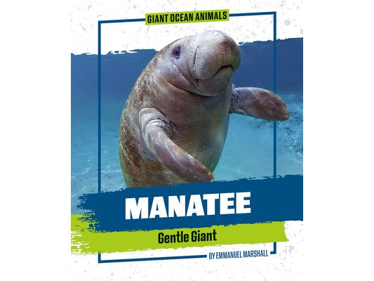 Manatee