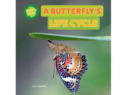 A Butterfly's Life Cycle