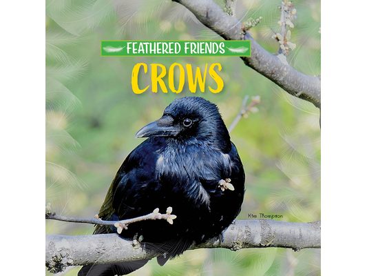 Crows