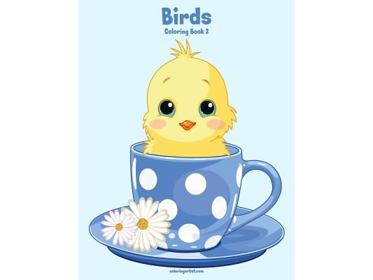 Birds Coloring Book 2