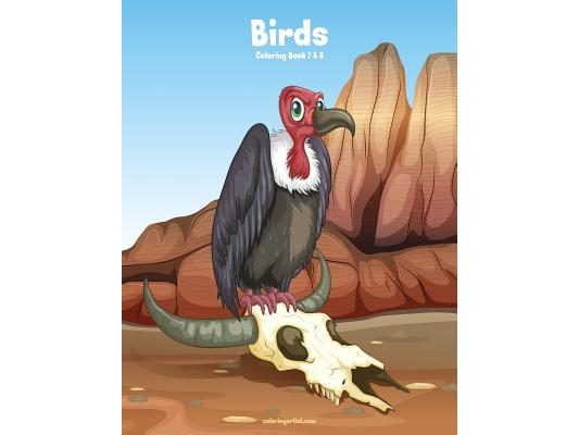 Birds Coloring Book 7 & 8