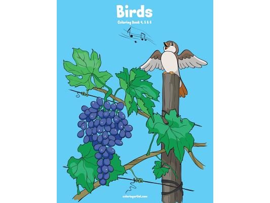 Birds Coloring Book 4, 5 & 6