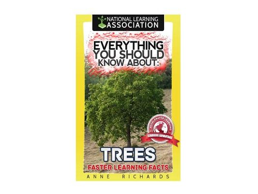 Everything You Should Know About Trees