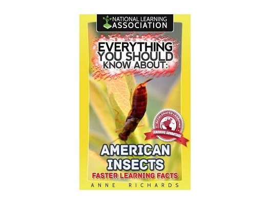 Everything You Should Know About: American Insects