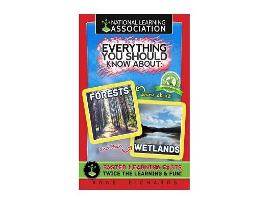Everything You Should Know About Forests and Wetlands