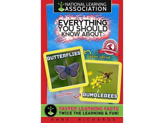 National learning Association Everything You Should Know About Butterflies and Bumble Bees Faster Learning Facts