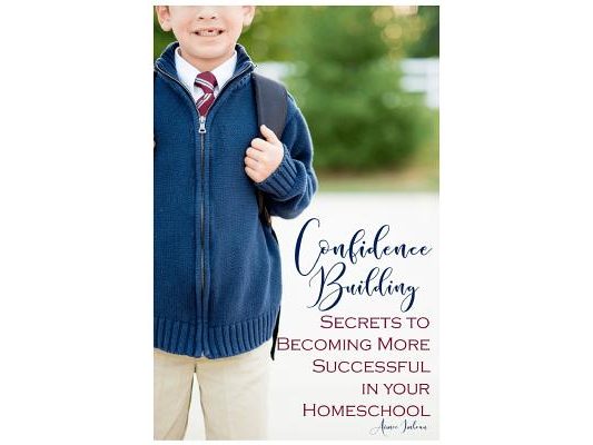 Confidence Building Secrets to Becoming More Successful in your Homeschool
