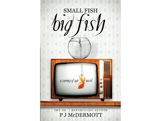 Small Fish Big Fish: A Coming of Age Novel
