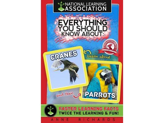 Everything You Should Know About Cranes and Parrots