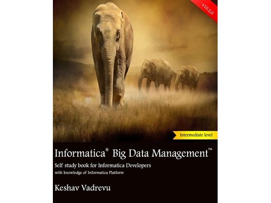 Informatica Big Data Management: Self study book for Informatica Developers