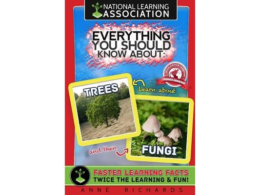 Everything You Should Know About Trees and Fungi