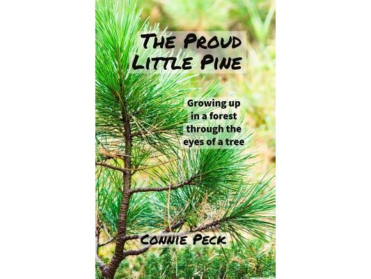 The Proud Little Pine