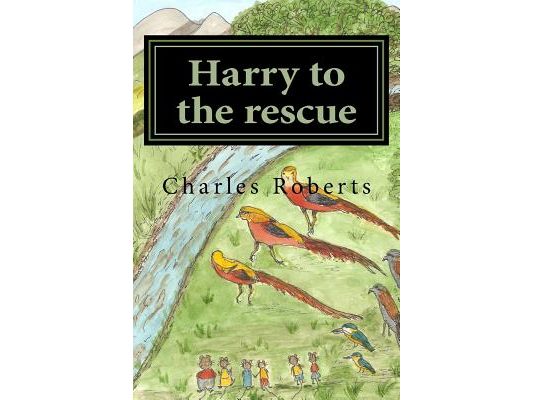 Harry to the rescue