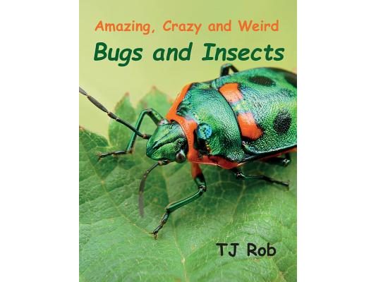 Amazing, Crazy and Weird Bugs and Insects: (Age 5 - 8)