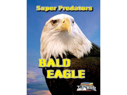 Bald Eagle: (Age 5 - 8)