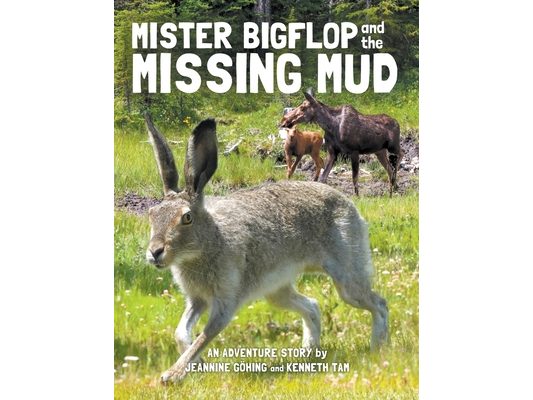 Mister Bigflop and the Missing Mud