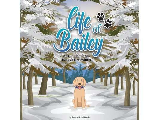 Life of Bailey: Bailey's First Winter