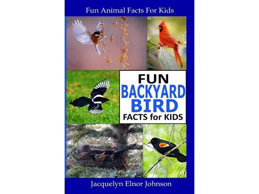 Fun Backyard Bird Facts for Kids