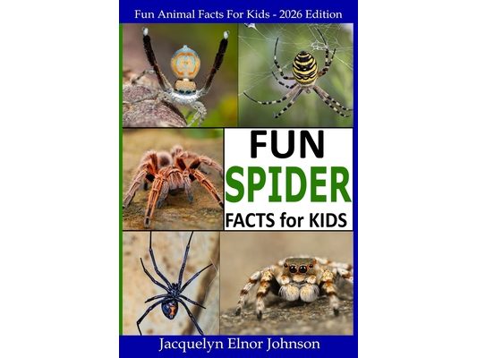 Fun Spider Facts For Kids