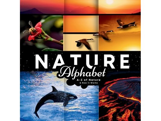 Nature Alphabet: A - Z Of Nature & How It Works