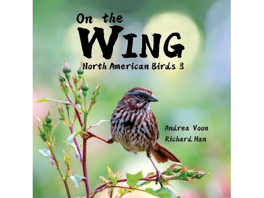 On the Wing - North American Birds 3