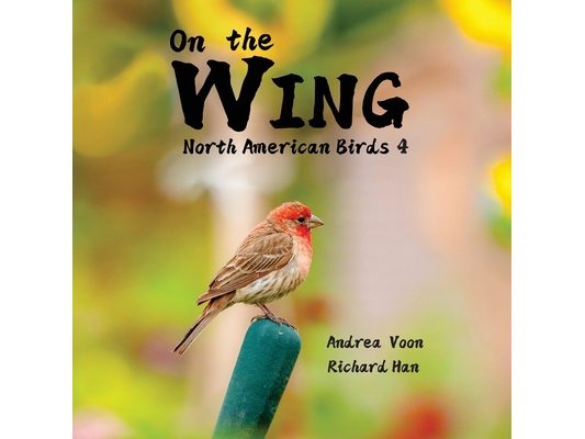 On the Wing - North American Birds 4