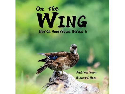 On the Wing - North American Birds 5