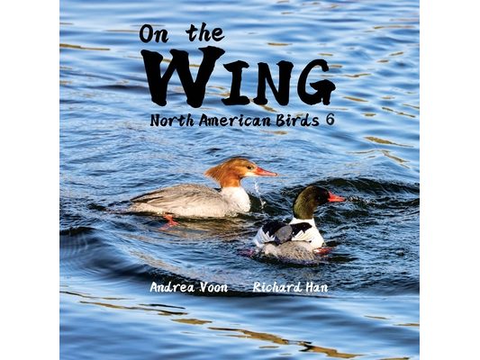 On the Wing - North American Birds 6