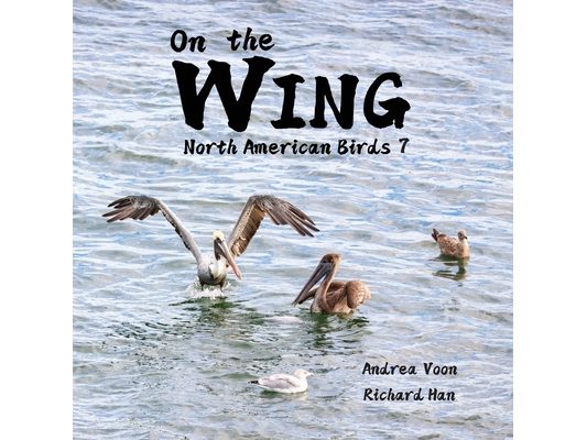 On the Wing - North American Birds 7