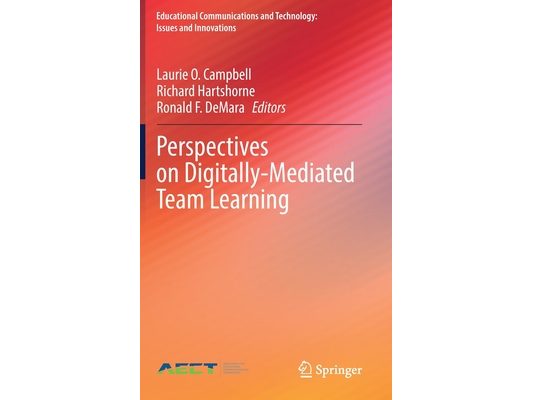 Perspectives on Digitally-Mediated Team Learning
